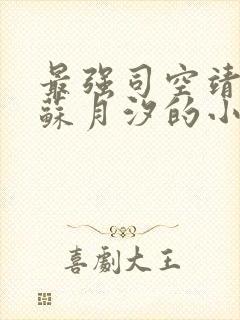 最强司空靖女主苏月汐的小说免费阅读