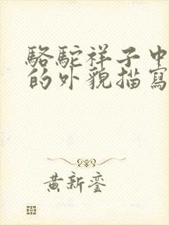 骆驼祥子中虎妞的外貌描写