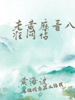 老黄历看八字最准网站