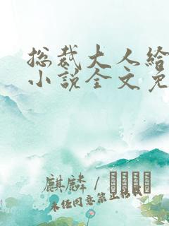 总裁大人给力宠小说全文免费阅读