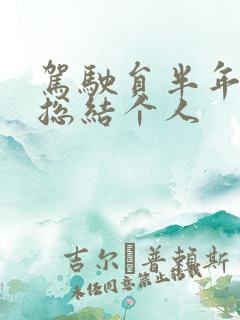 驾驶员半年工作总结个人