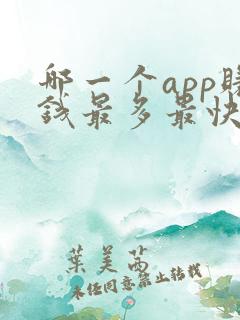 哪一个app赚钱最多最快