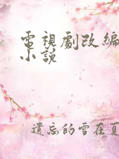 电视剧改编同人小说