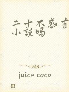 二十不惑有原著小说吗