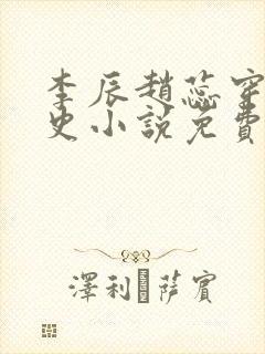 李辰赵蕊穿越历史小说免费阅读