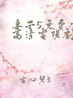 妻子5免费完整高清电视剧