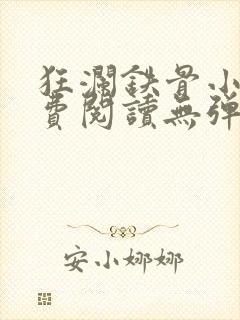 狂澜铁骨小说免费阅读无弹窗