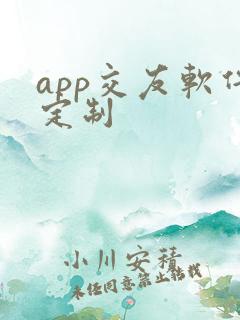 app交友软件定制