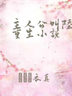 主人公叫陆辰的重生小说