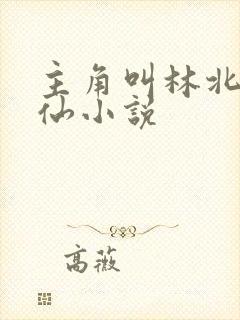 主角叫林北的修仙小说