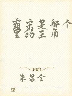 霸宋是哪个小说里的主角