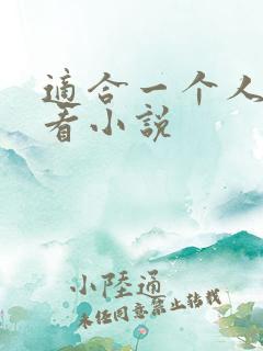 适合一个人悄悄看小说