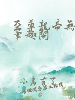 至尊龙帝无弹窗笔趣阁