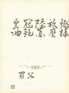 皇冠陆放燃油版油耗怎么样