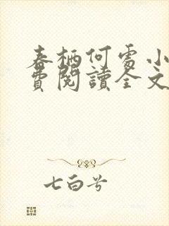 春栖何处小说免费阅读全文