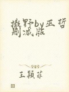 撒野by巫哲未删减版