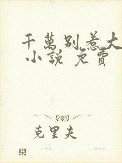 千万别惹大师兄 小说 免费