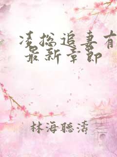 凌总追妻有点甜 最新章节