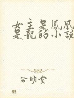 女主是凤凰男主是龙的小说