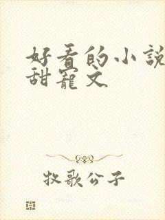 好看的小说言情甜宠文