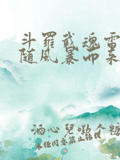 斗罗武魂雷伊我随风暴而来免费阅读