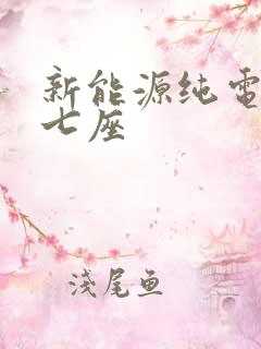 新能源纯电动车七座