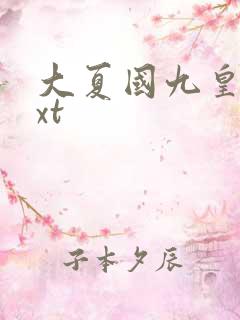 大夏国九皇子txt