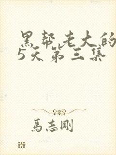 黑帮老大的365天第三集