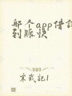 哪个app借钱到账快