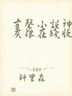 有声小说神墓大灰狼在线收听