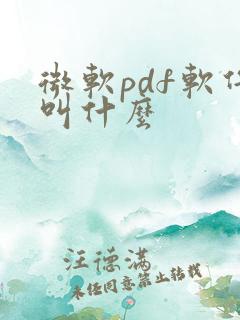 微软pdf软件叫什么