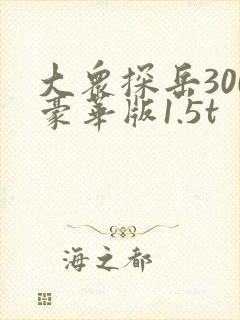 大众探岳300豪华版1.5t