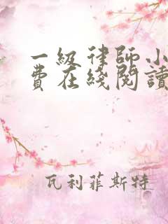 一级律师小说免费在线阅读完整版