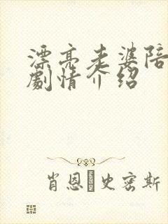 漂亮老婆陪过年剧情介绍