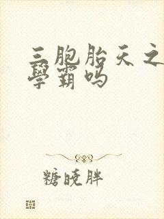 三胞胎天之文是学霸吗