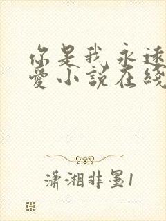 你是我永远的偏爱小说在线阅读