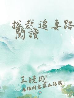 总裁追妻路漫漫 阅读