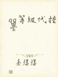 qq等级代挂平台