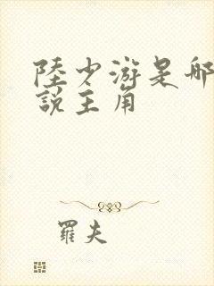 陆少游是哪部小说主角