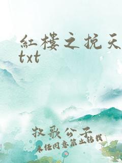 红楼之挽天倾 txt