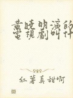 黄晓明演的岳飞电视剧叫什么名字