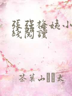 张强梅姨小说在线阅读