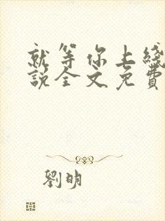 就等你上线了小说全文免费阅读