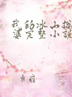 我的冰山总裁老婆完整小说