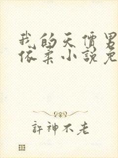 我的天价男神叶依柔小说免费阅读