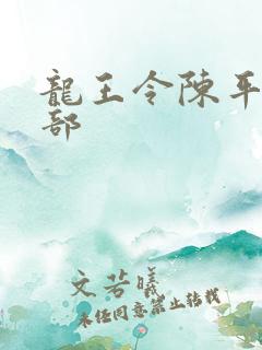 龙王令陈平第二部