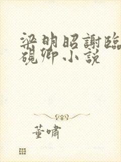 梁明昭谢临风沈砚卿小说