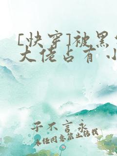 [快穿]被黑化大佬占有 小说