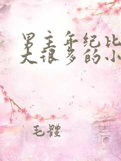 男主年纪比女主大很多的小说