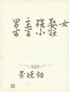 男主强娶女主的古言小说